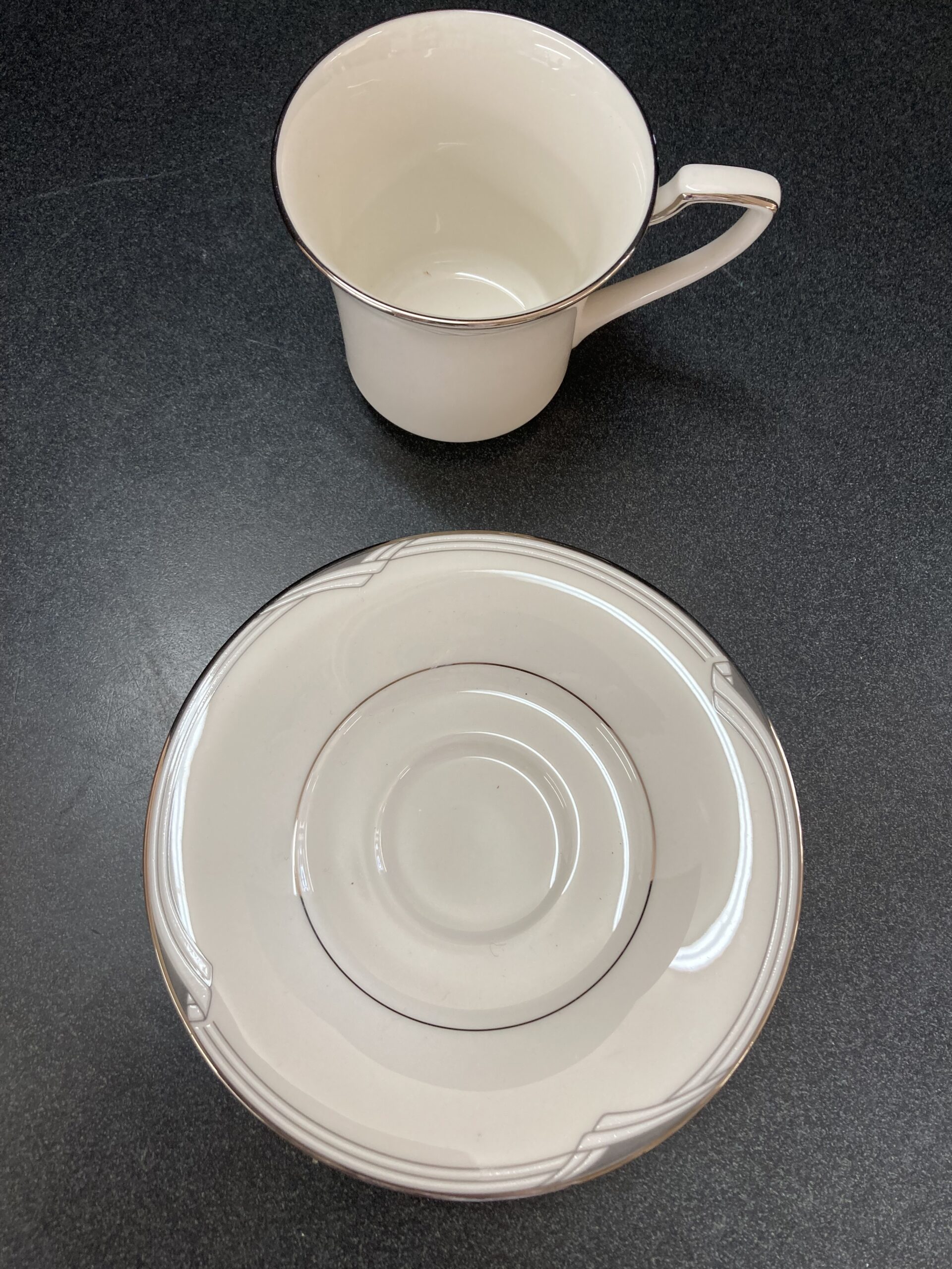 Noritake Sterling Cove Cup and Saucer